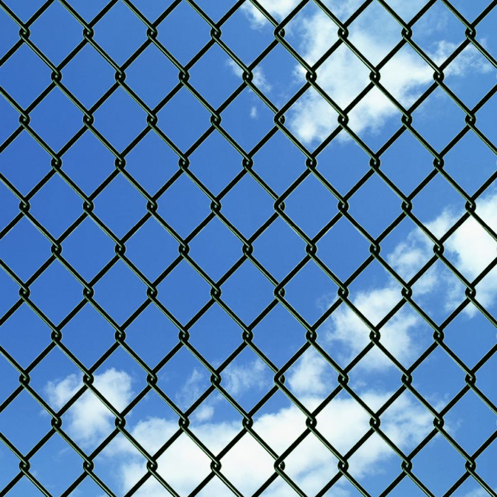 Chain Link Fence Steel 0,8x25 m Green- Fence Panels - HomeShopIreland - Home Shop Ireland - Fence Panels - Chain Link Fence Steel 0,8x25 m Green