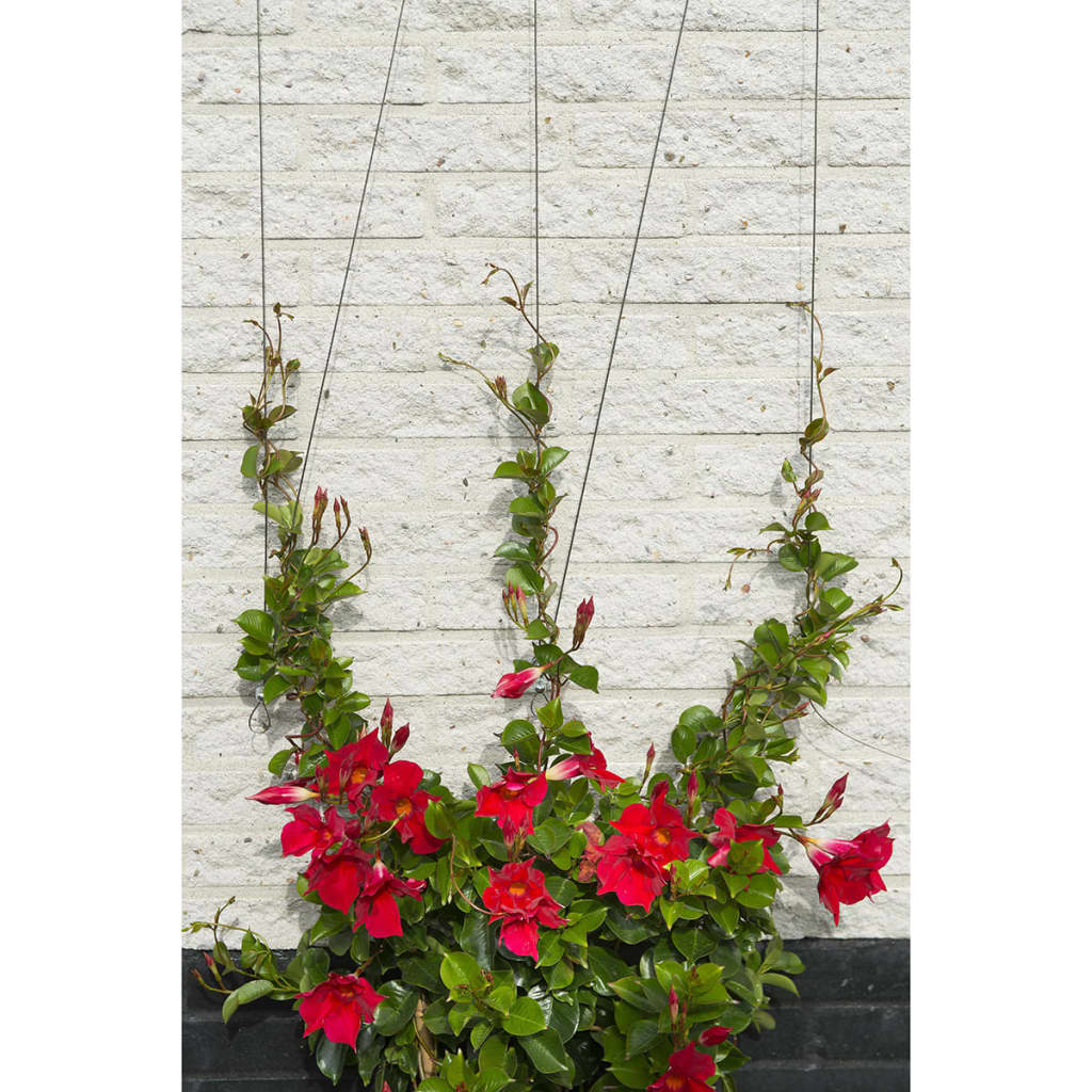 Nature Wire Trellis Sets for Climbing Plants 2 pcs- Garden Arches, Trellises, Arbours & Pergolas - HomeShopIreland - Nature - Garden Arches, Trellises, Arbours & Pergolas - Nature Wire Trellis Sets for Climbing Plants 2 pcs
