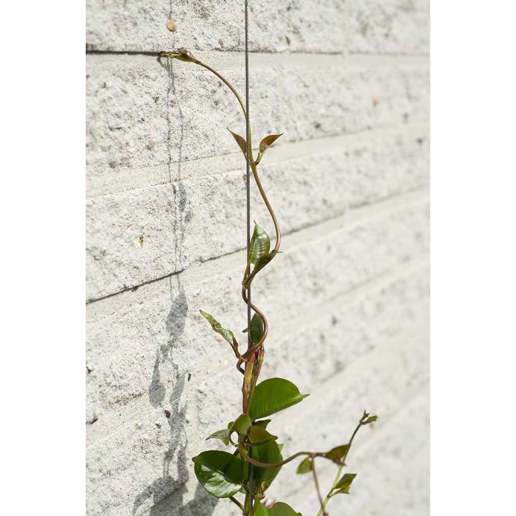 Nature Wire Trellis Sets for Climbing Plants 2 pcs- Garden Arches, Trellises, Arbours & Pergolas - HomeShopIreland - Nature - Garden Arches, Trellises, Arbours & Pergolas - Nature Wire Trellis Sets for Climbing Plants 2 pcs