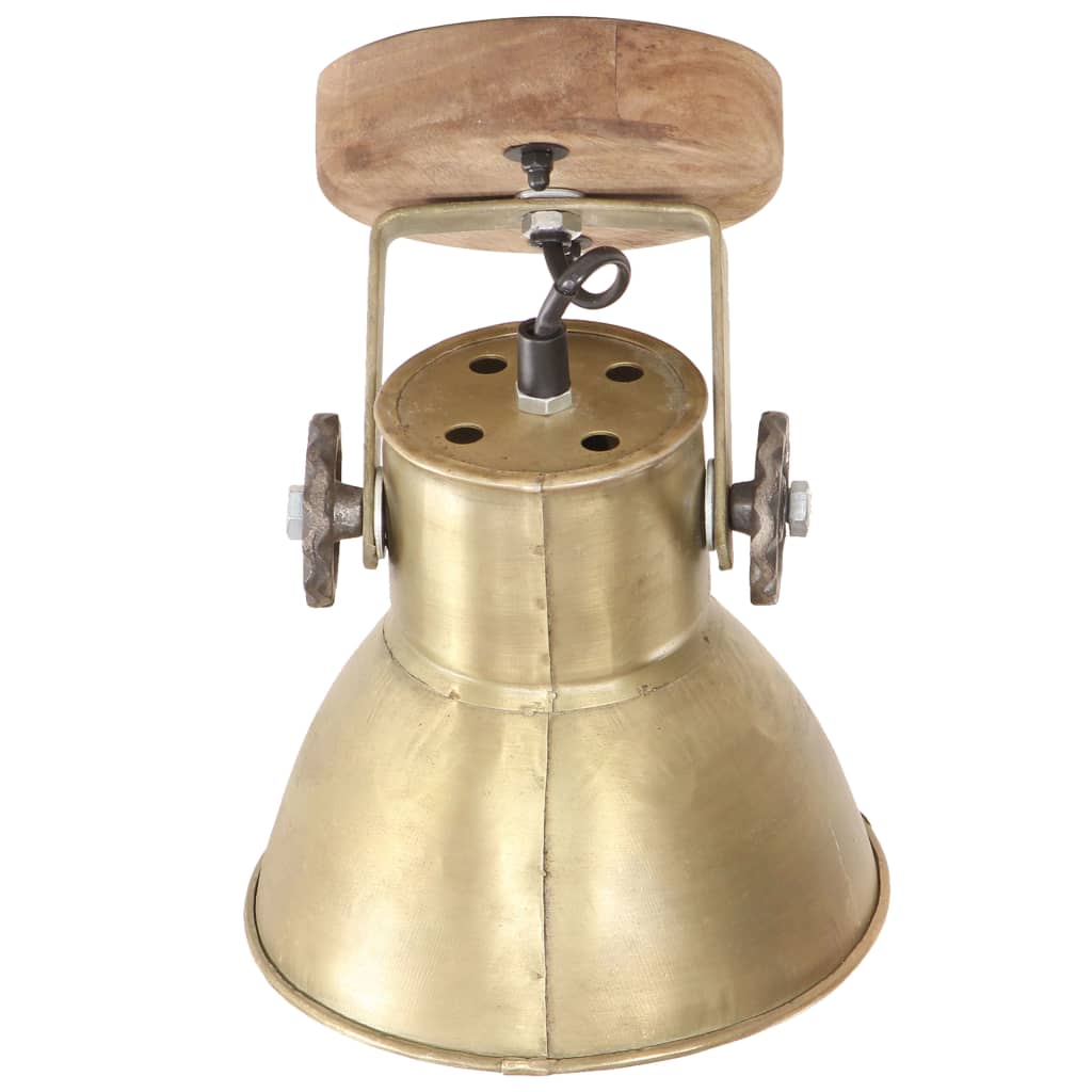 Industrial Wall/Ceiling Lamps 2 pcs Brass 20x25 cm E27- Lamps - HomeShopIreland - Home Shop Ireland - Lamps - Industrial Wall/Ceiling Lamps 2 pcs Brass 20x25 cm E27