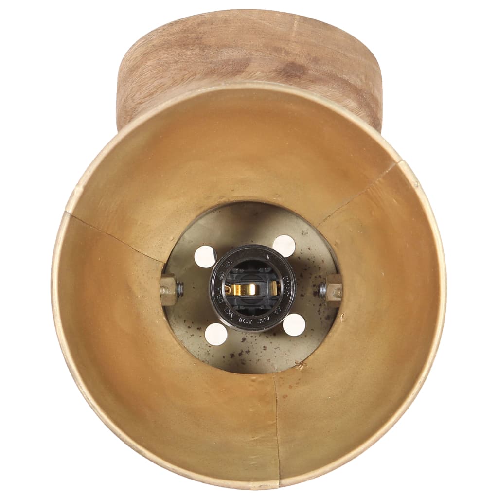 Industrial Wall/Ceiling Lamps 2 pcs Brass 20x25 cm E27- Lamps - HomeShopIreland - Home Shop Ireland - Lamps - Industrial Wall/Ceiling Lamps 2 pcs Brass 20x25 cm E27