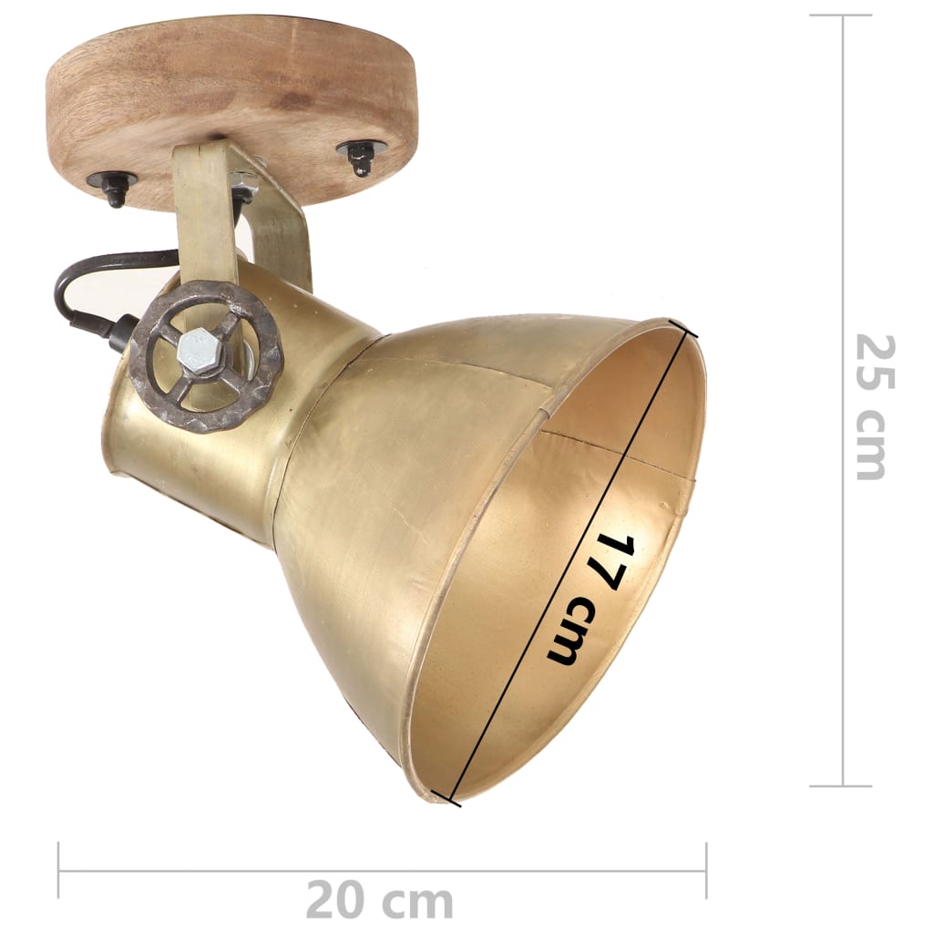 Industrial Wall/Ceiling Lamps 2 pcs Brass 20x25 cm E27- Lamps - HomeShopIreland - Home Shop Ireland - Lamps - Industrial Wall/Ceiling Lamps 2 pcs Brass 20x25 cm E27